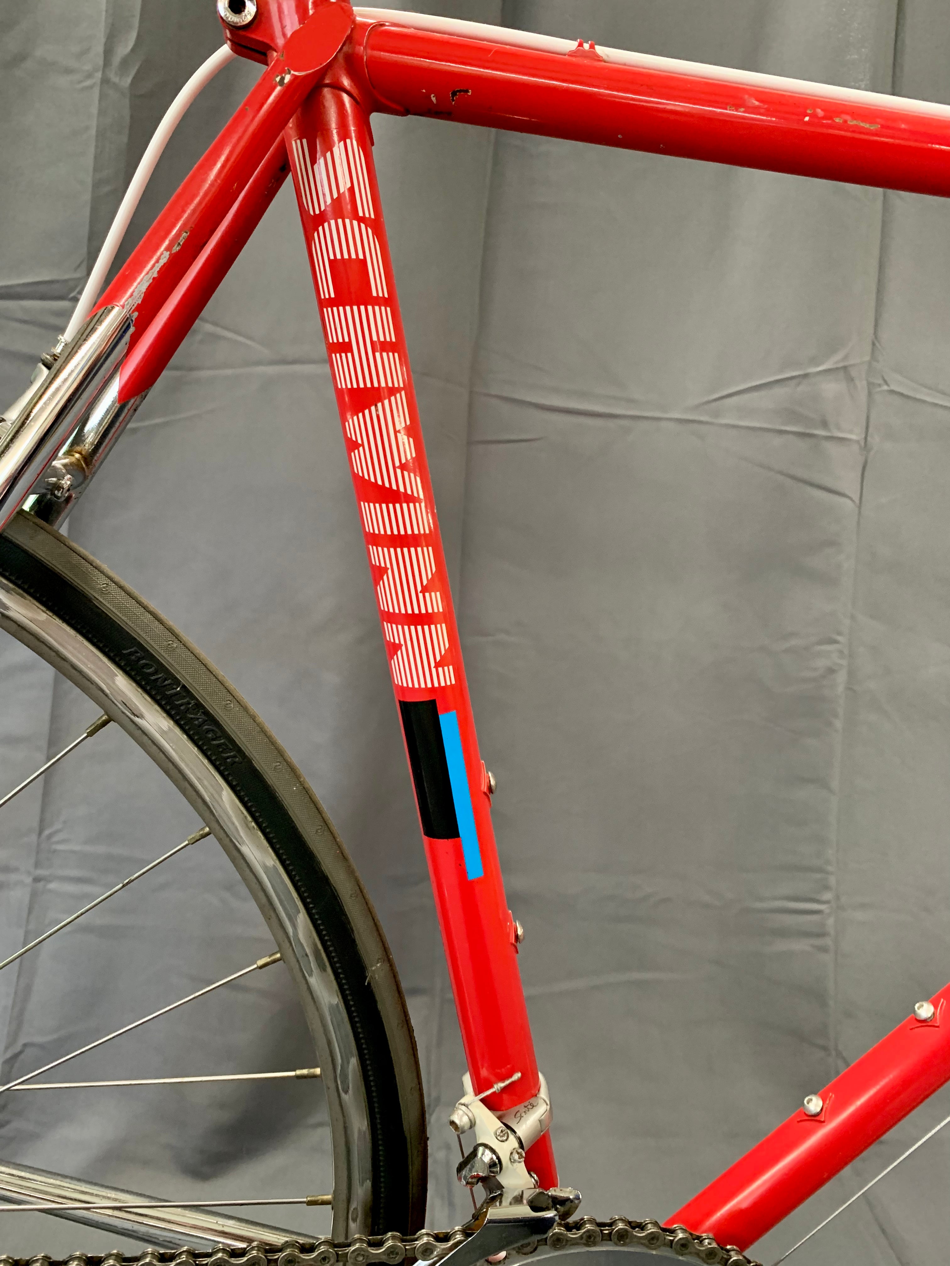 Schwinn top bike circuit